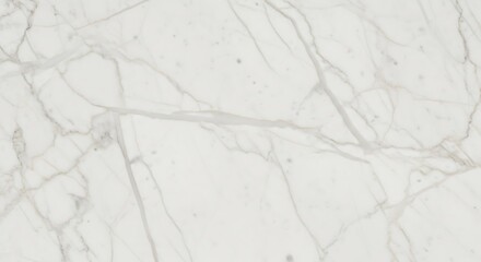 Close-up view of white marble texture with subtle veins.