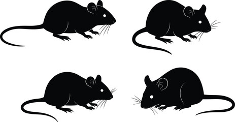 Silhouette of four black mice facing each other isolated on white background, rodents, animals, wildlife, nature, vector illustration