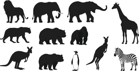Wildlife animal silhouettes collection, African safari animals, jungle wildlife vector, nature animals icons, lion, elephant, giraffe, zebra, bear, kangaroo © MSAYASHA