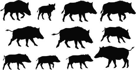 Wild boar silhouette vector set, walking wild pigs, black hog shapes, forest animal collection, hunting clipart, isolated design elements