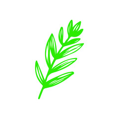 Fototapeta premium green plant isolated on white background doodle.green leaf