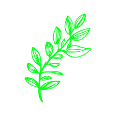 green plant isolated on white background doodle.green leaf