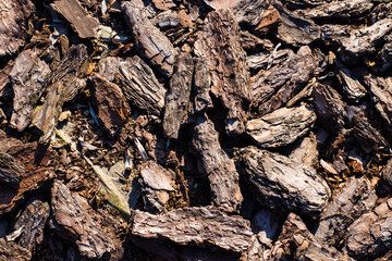 A close-up, overhead shot of brown bark mulch covering the entire frame. Small pieces of wood are scattered throughout.