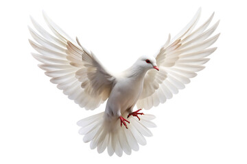 Fototapeta premium white dove flying isolated on white background PNG ,AI GENERATED