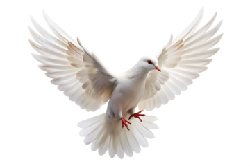 white dove flying isolated on white background PNG ,AI GENERATED