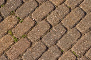 Stone path with moss