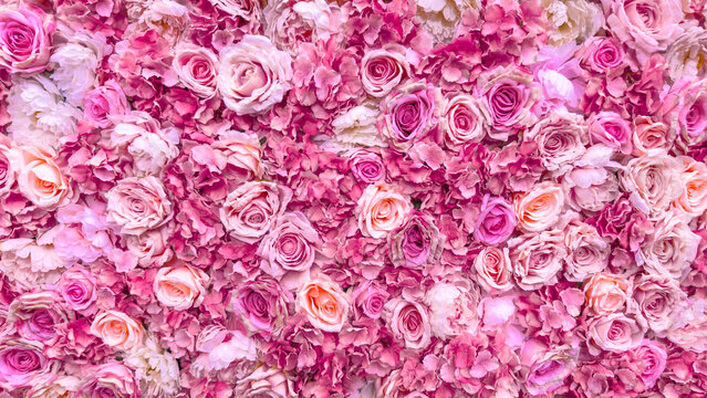 Elegant pink rose wall, floral pattern in full bloom, perfect for backgrounds, interior design visuals, and creative compositions.
 - Powered by Adobe