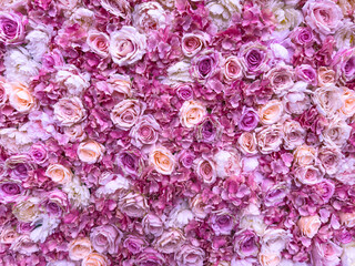 Closeup of a pink flower wall with roses, soft texture, natural beauty, ideal for artistic,...