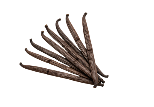 Dry, Curved, and Textured Twisted Tree Branches Displayed on a Black Background