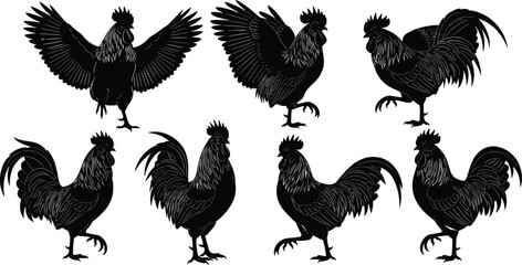Detailed black rooster silhouettes in multiple dynamic poses, showcasing farm animal charm, poultry design, and rural-inspired vector art for creative projects