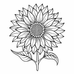 white flower on black background