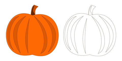 Pumpkin Color Outline Vector Illustration