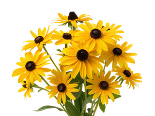 Yellow black-eyed susan flowers in a vibrant bouquet for summer garden decoration and design