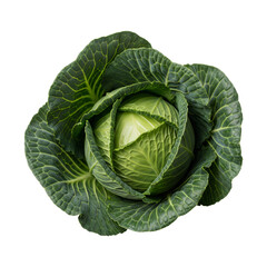 Obraz premium Flat lay of one whole cabbage, green leaves tightly wrapped, transparent background.