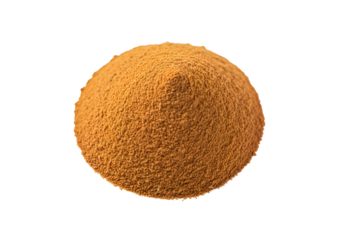 Microscopic View of a Round Cell with Textured Surface Against Black Background