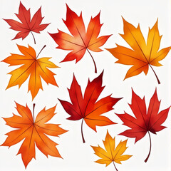 Obraz premium Maple autumn leaves in warm red, orange and yellow tones, hand painted watercolor style, isolated on white background