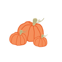 Illustration of three pumpkins of different sizes in orange color for card, design, menu, print for t-shirt, shopper