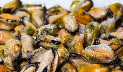 Fresh Mussel Meat Without Shell