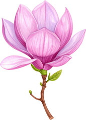Naklejka premium pink and purple magnolia blossom is depicted in a delicate watercolor style against a stark black background. The partially opened flower shows soft, gradient petals and a small green leaf attached to