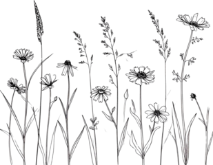 wild grass and flowers in black outline style  