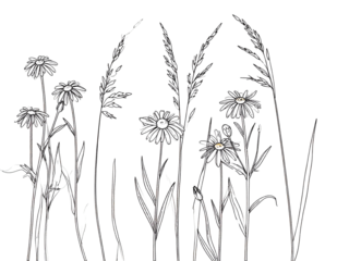 wild grass and flowers in black outline style