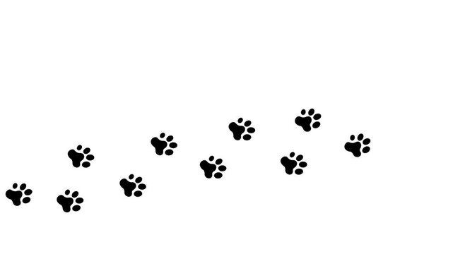 The footsteps of the animal paws on white background. Walking animal paw Prints. paw icon animation illustration.