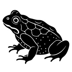 Green Toad vector Silhouette on white background