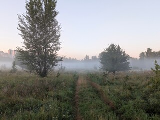 
Silhouette embraces the rising sun in morning golden m