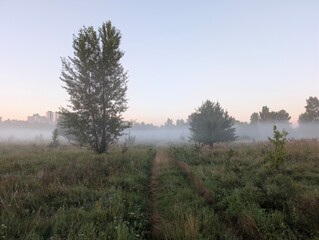 
Silhouette embraces the rising sun in morning golden m
