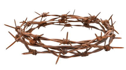 Experience profound symbolism with a weathered crown of thorns, evoking sacrifice and spiritual depth isolated on white background