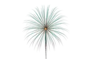Fototapeta premium A single delicate dandelion seed head poised against a stark white background