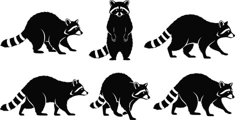 Black and white raccoon illustrations in various poses, striped tails, masked faces, wildlife animal vector art, forest creature silhouette design
