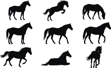 Black horse silhouettes in multiple poses including standing, running, grazing, rearing, walking, lying, equestrian art, animal anatomy illustration, vector
