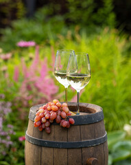 two glasses of white wine