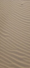 Obraz premium photography of beach sand details