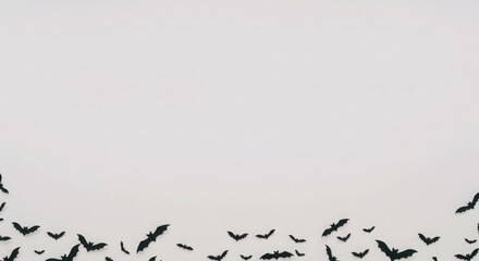 Halloween bats flying border on white background, copy space