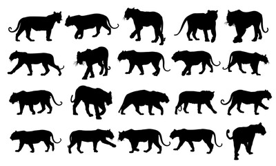 Tiger Black Vector Silhouette