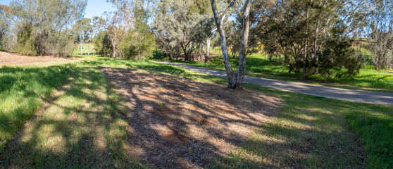 vibrant photos of Playford's landscape transformation. Showcase grant-funded revegetation, mass plantings, and biodiversity at Craigmore Park. Capture spring meadows, young forests
