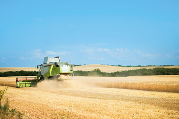 Obraz premium Modern combine harvester working in wheat field