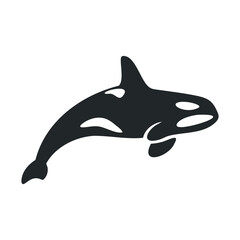 Fototapeta premium Silhouette of orca whale swimming in ocean waters