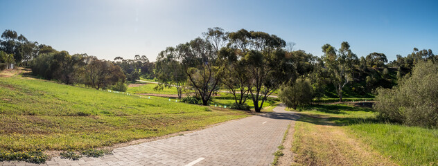 vibrant photos of Playford's landscape transformation. Showcase grant-funded revegetation, mass plantings, and biodiversity at Craigmore Park. Capture spring meadows, young forests