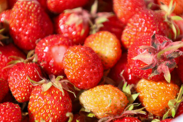 ​A close-up of fresh strawberries, showcasing their variety, from bright red to not-yet-ripe orange berries. The detailed texture of each berry's surface and the rich colors create a feeling of summer