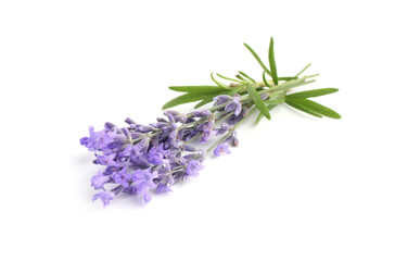 Fototapeta premium Beautiful lavender isolated on white. Fragrant flowers