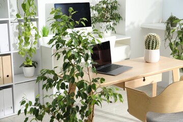 Stylish workplace with laptop and floral decor in office. Biophilic interior design