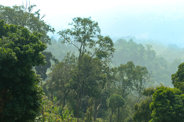 Sajek early morning view with thick white clouds.