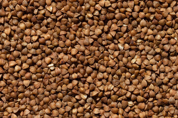 Buckwheat as a background. Closeup. Macro photo top view.