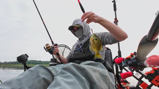Angler in kayak catch and release nice panfish bluegill with hook and worm lure in its mouth, summer activity, kayaking and fishing outdoors. Kayak fisherman display his catch and release.