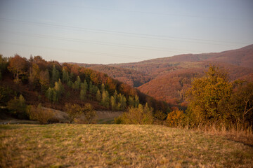 Stunning autumn landscape showcases colorful trees and rolling hills under a pale blue sky.