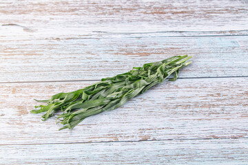 Fresh green estragon aroma stem