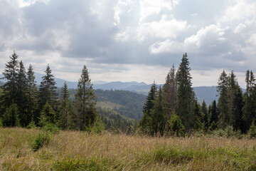 Dramatic landscape of mountains and trees under a cloudy sky.